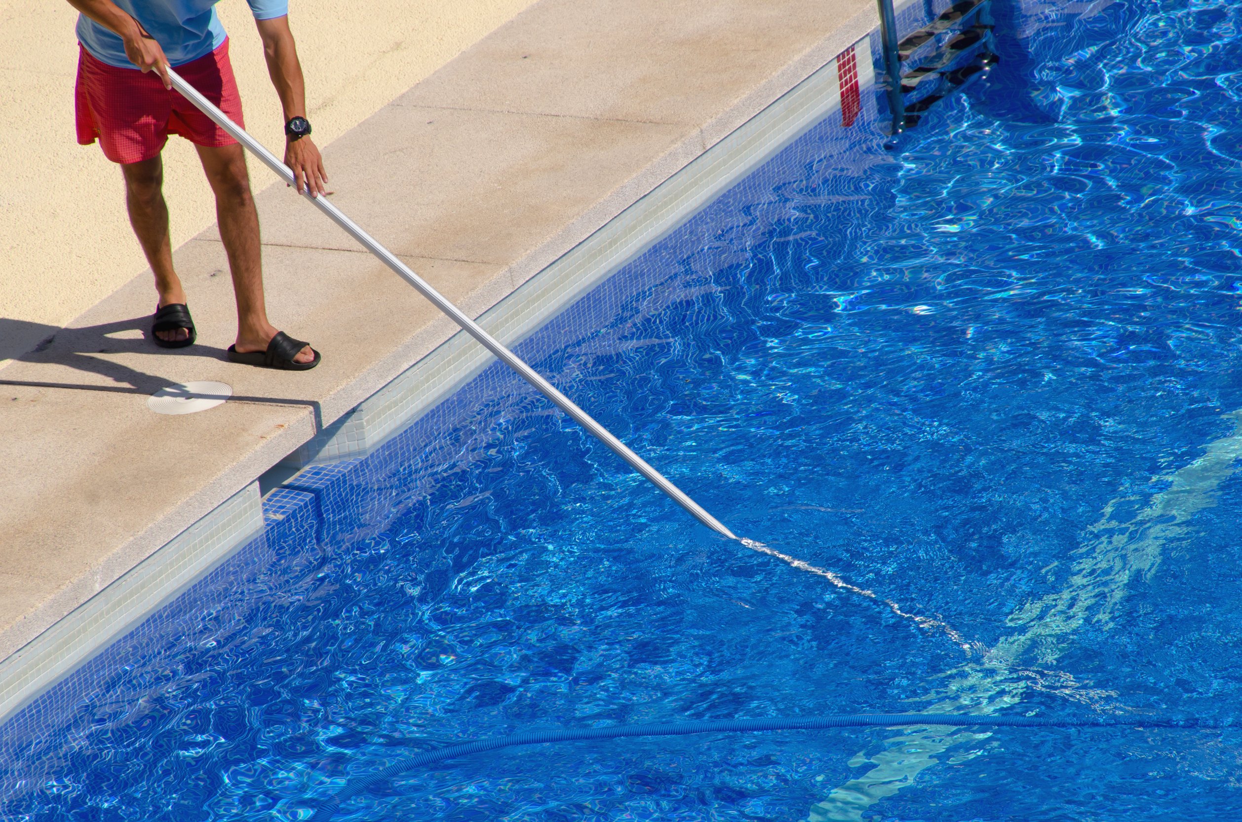 Swimming Pool Cleaning Palm Harbor Florida